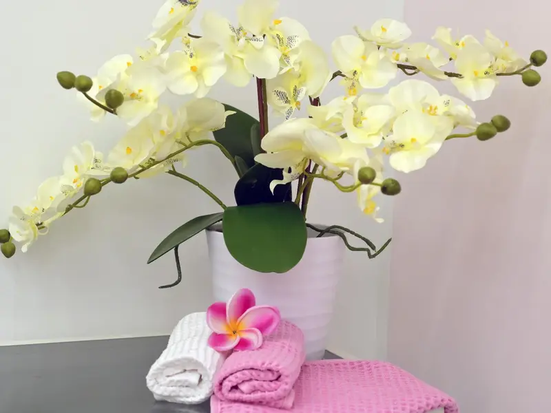 Wellness für die Sinne